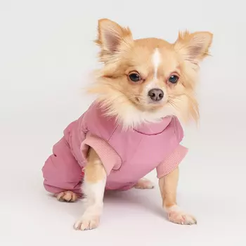 Petmax Комбинезон на замке для собак, S, розовый (девочка)