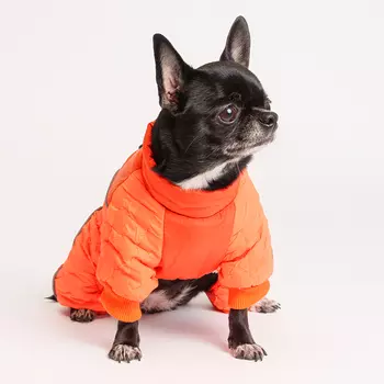 Petmax Комбинезон на замке для собак, S, оранжевый