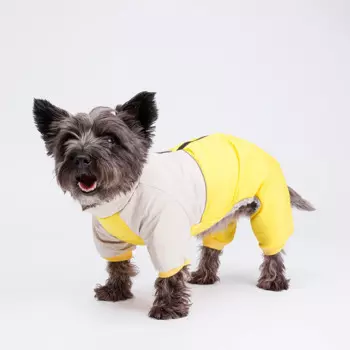 Petmax Комбинезон с диагональным замком для собак, M, желтый