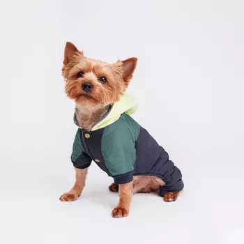 Petmax Комбинезон с капюшоном для собак, M, сине-зеленый