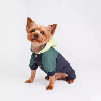 Petmax Комбинезон с капюшоном для собак, S, сине-зеленый