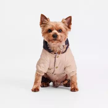 Petmax Комбинезон с капюшоном для собак, S, кофейный