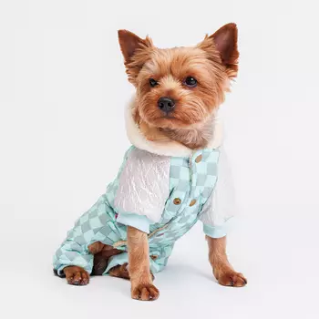 Petmax Комбинезон с капюшоном для собак, S, бирюзовый (девочка)