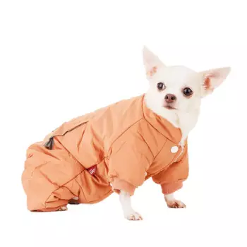 Petmax Комбинезон с карманом для собак S оранжевый (девочка)