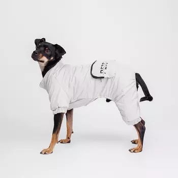 Petmax Комбинезон с кармашком для собак, XL, серый