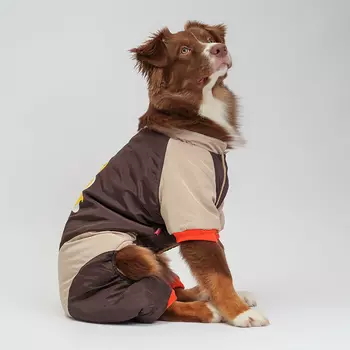 Petmax Комбинезон с медведем для собак, 3XL