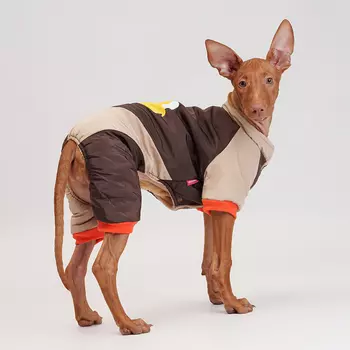 Petmax Комбинезон с медведем для собак, L