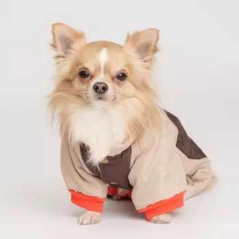 Petmax Комбинезон с медведем для собак, M