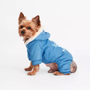 Petmax Комбинезон с оленем для собак, S, синий