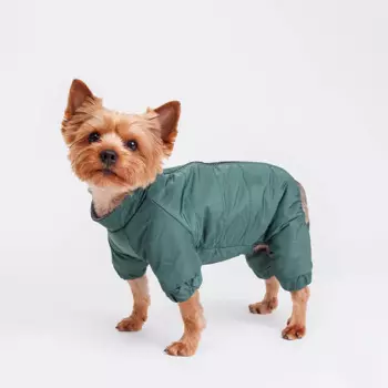 Petmax Комбинезон с замком для собак, М, зеленый (девочка)