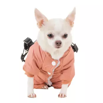 Petmax Комбинезон со шлейкой для собак S ржавый (девочка)