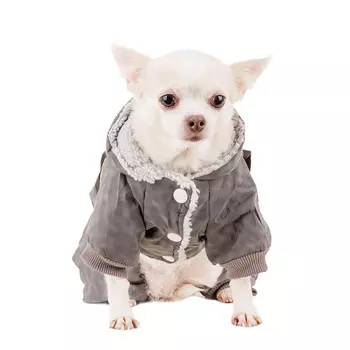 Petmax Комбинезон светоотражающий для собак XS серый (унисекс)