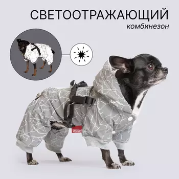 Petmax Комбинезон светоотражающий со шлейкой для собак, XS, серый (унисекс)