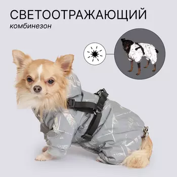 Petmax Комбинезон светоотражающий со шлейкой, S, серый (девочка)