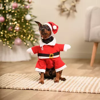 Petmax Костюм новогодний с колпаком для собак Дед Мороз, XS