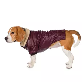 Petmax Куртка для собак бордовая кожзам