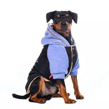 Petmax Куртка для собак XS черный (унисекс)
