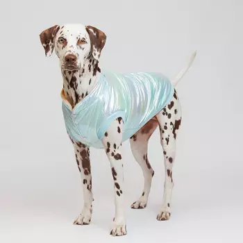 Petmax Куртка для собак, 5XL, голубая (унисекс)