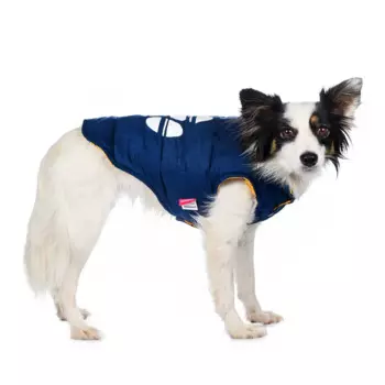 Petmax Куртка для собак двухсторонняя синяя с лапкой 2XL