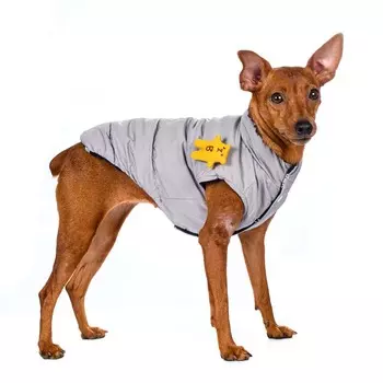 Petmax Куртка двухсторонняя для собак XS синий (унисекс)