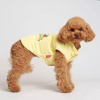 Petmax Куртка для собак, L, желтая