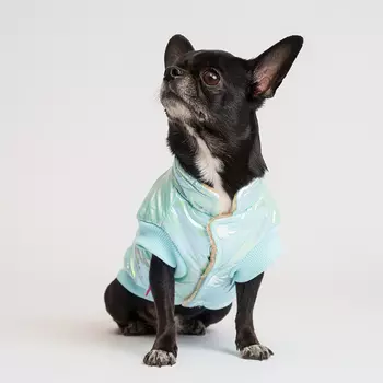 Petmax Куртка для собак, M, голубая (унисекс)