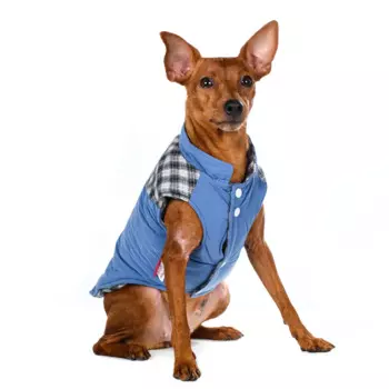 Petmax Куртка для собак синяя 2XL