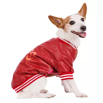 Petmax Куртка из кожзама для собак XL бордовый (унисекс)