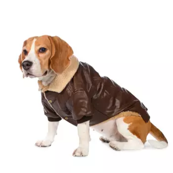 Petmax Куртка коричневая кожзам 3XL