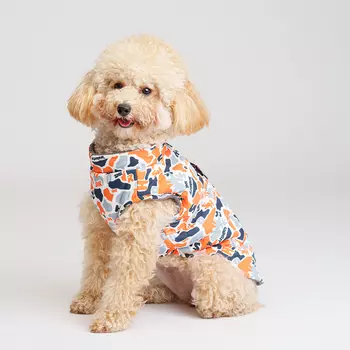 Petmax Куртка на замке для собак, M, серо-оранжевая (унисекс)