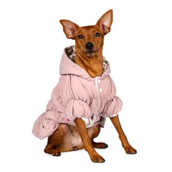 Petmax Куртка платье розовое S