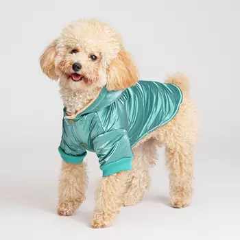 Petmax Куртка с капюшоном для собак, 2XL, зеленая