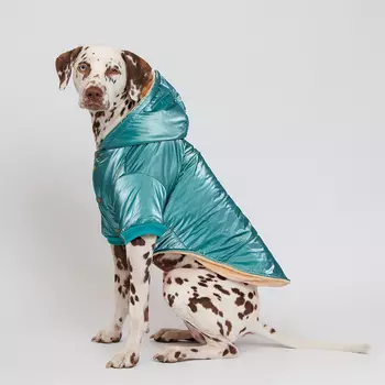 Petmax Куртка с капюшоном для собак, 3XL, зеленая