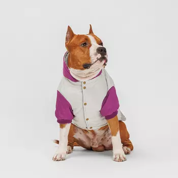 Petmax Куртка с капюшоном для собак, 4XL, серо-фиолетовая