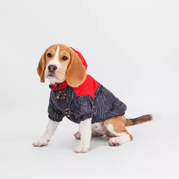 Petmax Куртка с капюшоном для собак, L, красно-черная