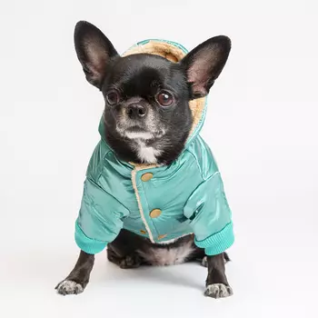 Petmax Куртка с капюшоном для собак, XS, зеленая