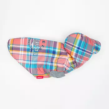 Petmax Куртка с капюшоном в клетку для собак, XL, разноцветный