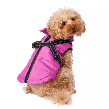 Petmax Куртка со шлейкой фиолетовая M