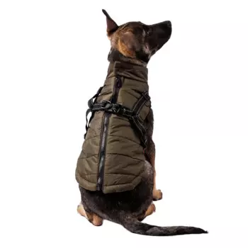 Petmax Куртка со шлейкой зеленая M