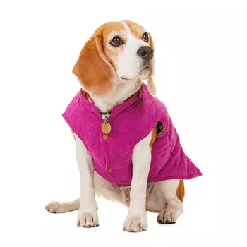 Petmax Куртка-жилетка для собак 3XL фиолетовый (унисекс)