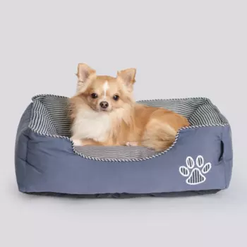 Petmax Лежак с полосками для кошек и собак мелких пород, 50х40х18 см, синий