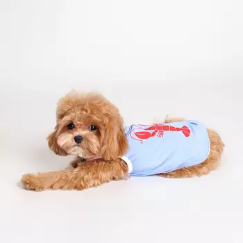 Petmax Майка с лобстером для собак, S, голубая