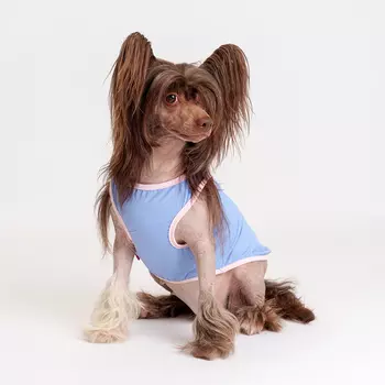 Petmax Майка с лобстером для собак, XL, голубая