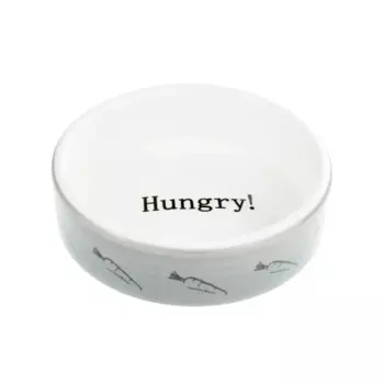 Petmax Миска для грызунов Hungry 8,5 см серая