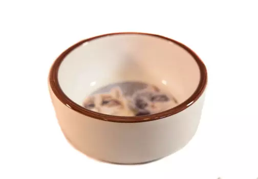 Petmax Миска для кошек с рис. Кошки 300м