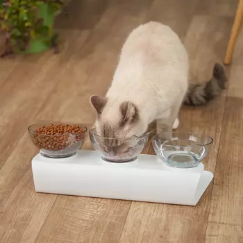 Petmax Миска тройная с ушками на подставке для кошек и собак, белая