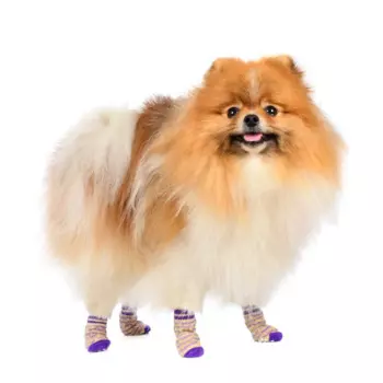 Petmax Носки L для собак синие с полоской