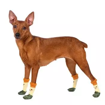 Petmax Носки XL для собак с прорезиненной подошвой, зеленые