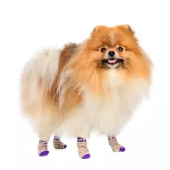 Petmax Носки XL для собак синие с полоской