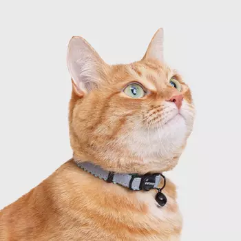 Petmax Ошейник для кошек Reflect, обхват шеи 30 см, ширина 1 см, черно-голубой